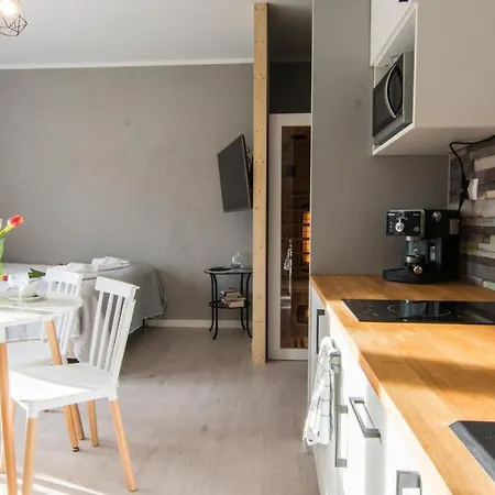 Ξενοδοχείο με διαμερίσματα Izerskie - Ul. Cicha 13f-g 3*